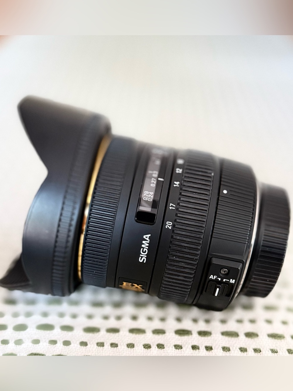 Sigma Beauty Black Wide-Angle Camera Lens with Gold Trim